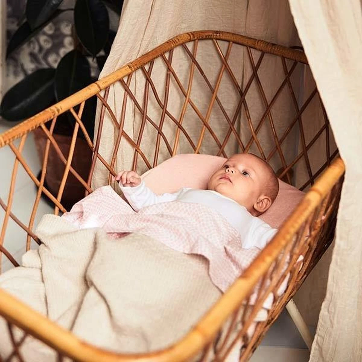 Jollein Baby Deken Wieg 75x100cm Teddy Bliss Knit - Nougat - Afbeelding 12