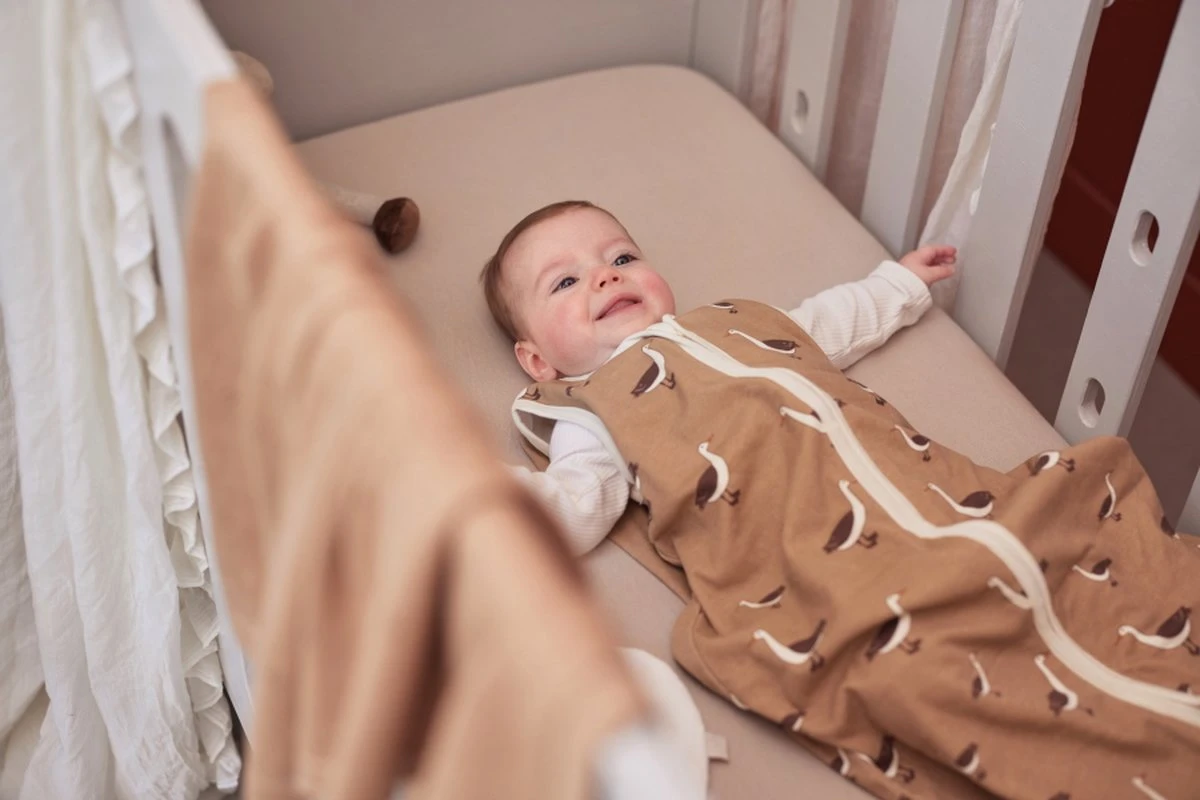 Jollein Baby Slaapzak Jersey 110cm Goose - Biscuit - Afbeelding 12